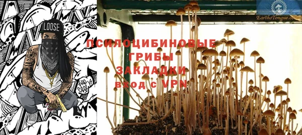 дживик Алзамай