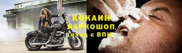 дживик Алзамай
