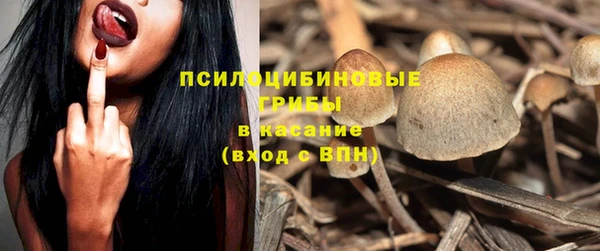 дживик Алзамай